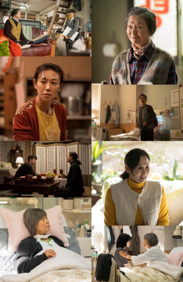 ‘미지의 서울’, 시청률 8.1%로 인기 폭발 이미지