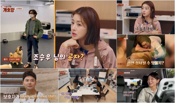 슈퍼 셀럽 보호자와 반려견, 누구일까 이미지