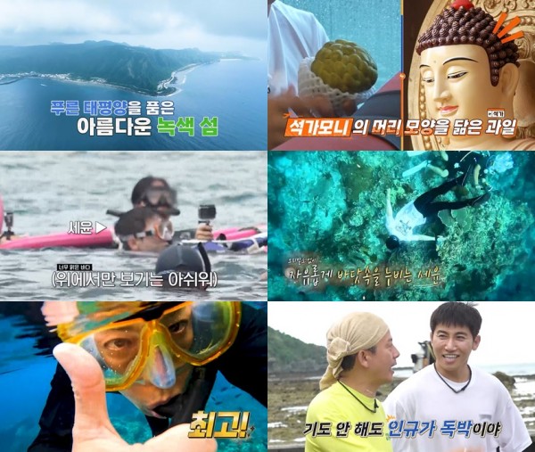 정수기 물보다 깨끗한 바다, 스노클링에 감탄한 독박즈 이미지