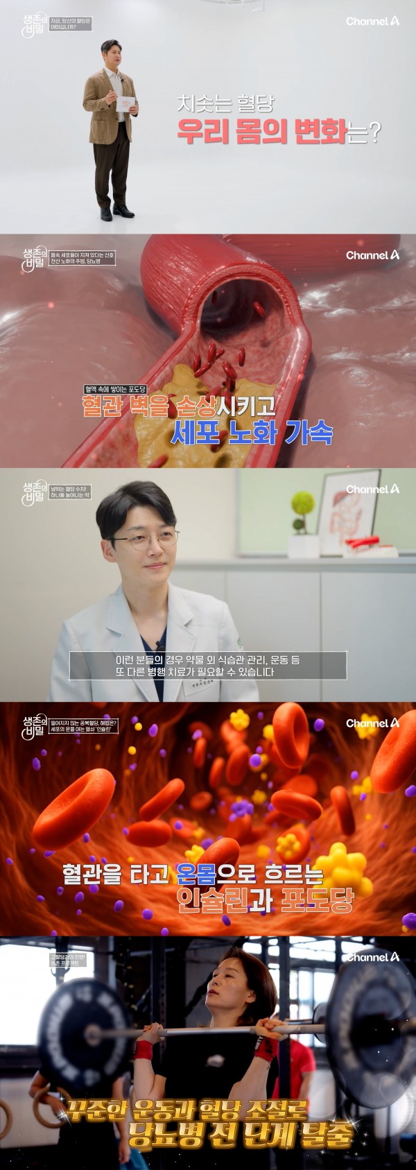당뇨병, 생애의 적으로 급부상하는 이유 이미지