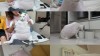 많이 본 기사-14kg 거대 뚱냥이 연두, 다이어트 무용지물 의문